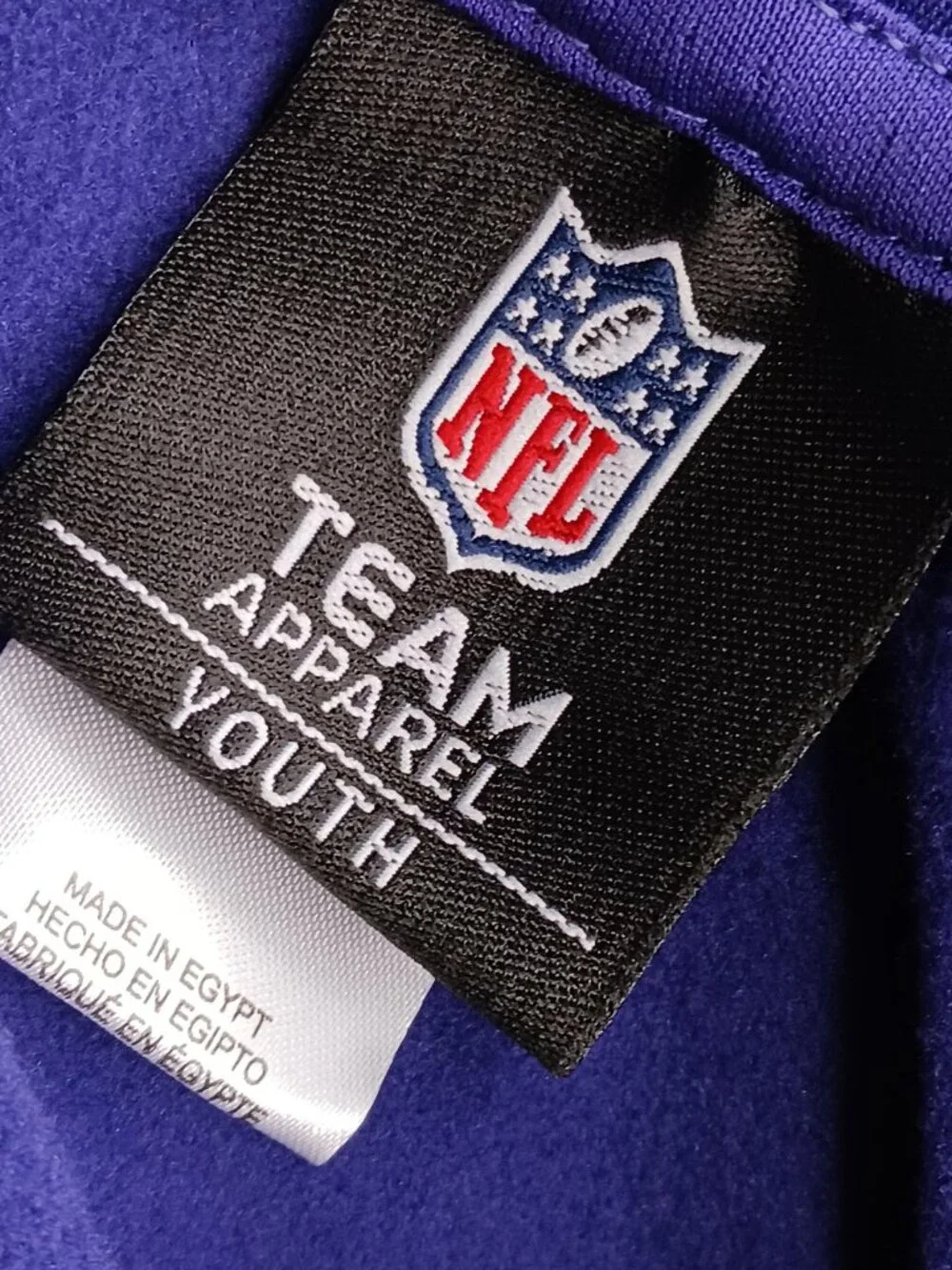 Baltimore Ravens Youth Large (14/16) Hoodie Purple NFL Team Apparel
